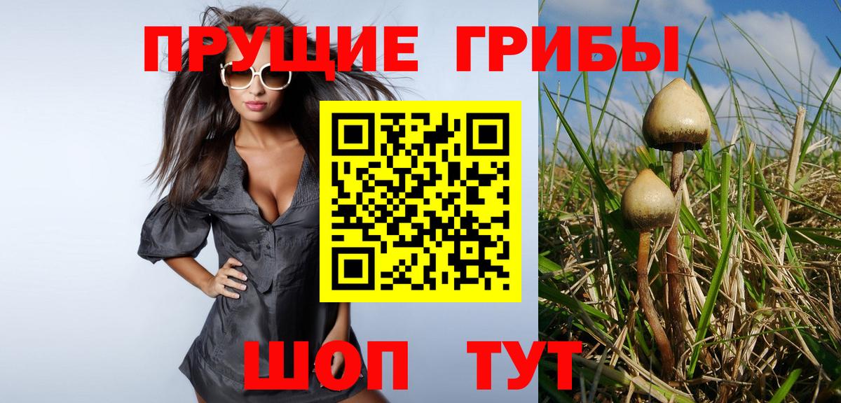 Новошахтинск  Галлюциногенные грибы MAGIC MUSHROOMS  Галлюциногенные грибы прущие грибы  Вход с VPN 